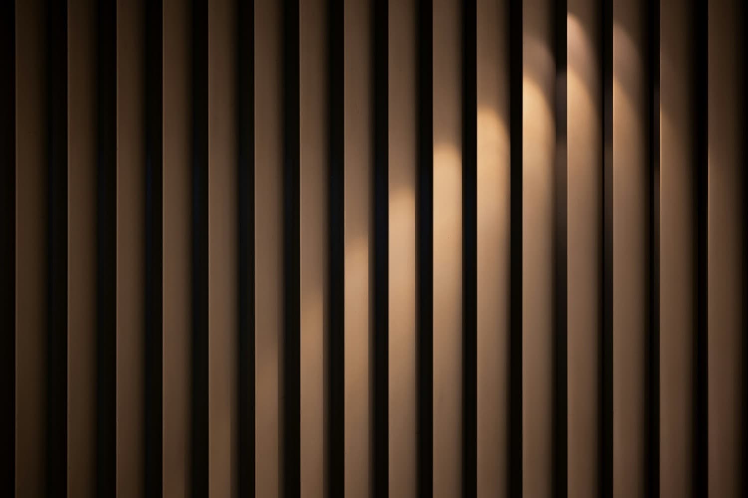 Timeless Beauty - 건축 배경 2